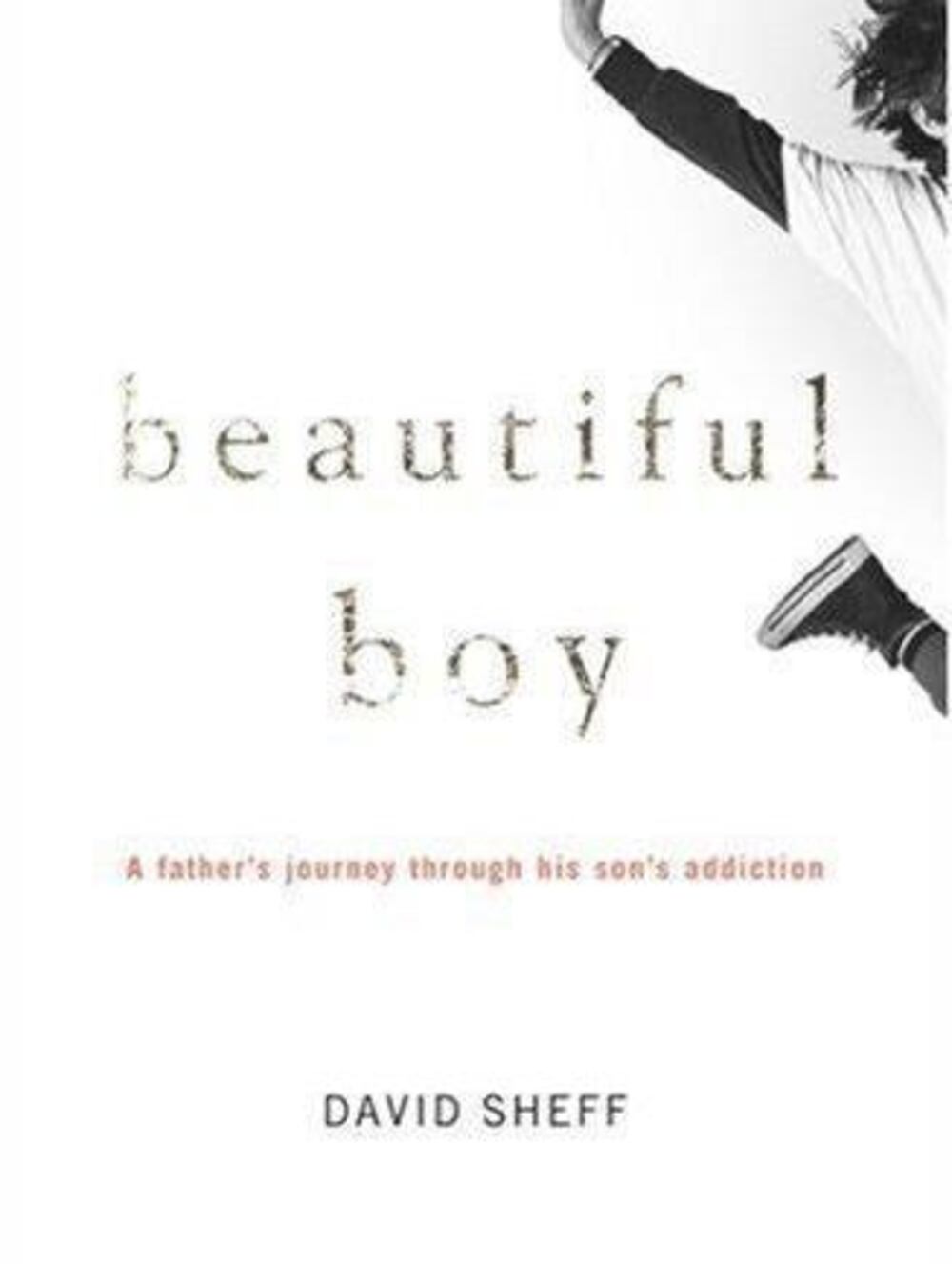 Beautiful Boy: A Father's Journey Through Hi- 0618683356, David Sheff, hardcover